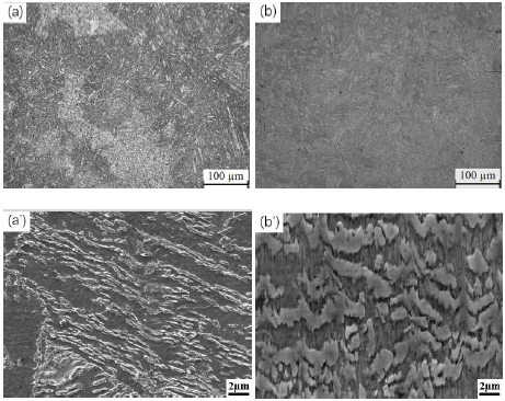 扫描电镜sem各种应用及案例分析