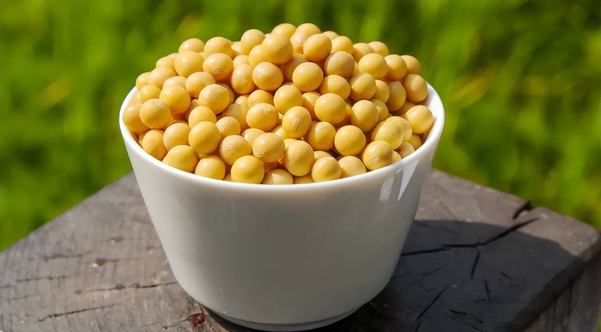 中美粮食战争:美粮或将"卡脖"国人饭碗,国产种子怎么扭转乾坤