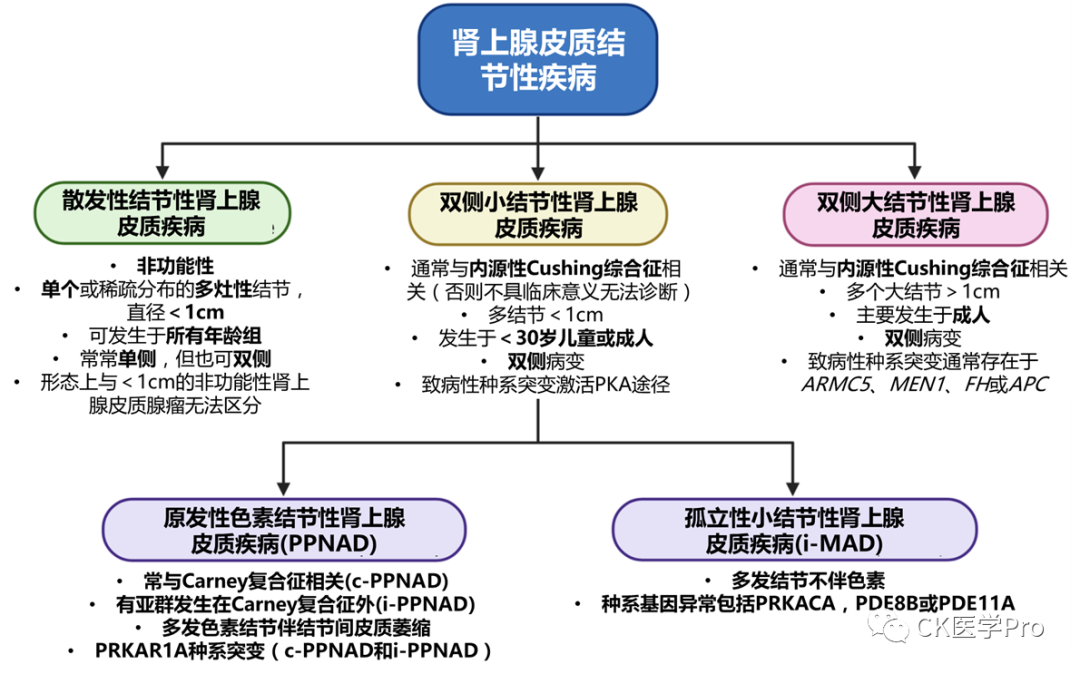 怎么判断得了库欣病图片