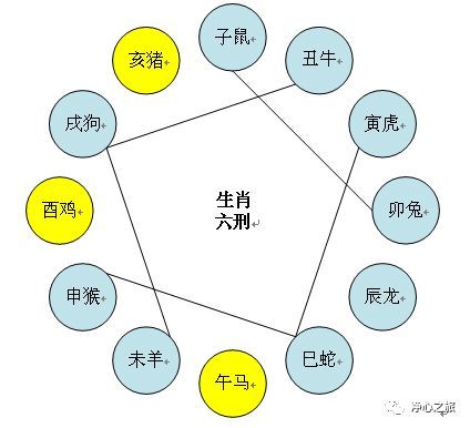 十二生肖相生相克图表