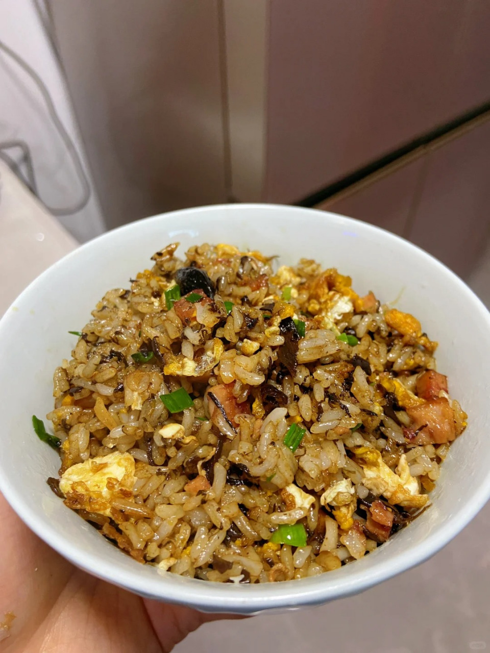[期待]打开味蕾的新天地,我惊喜地发现橄榄菜炒饭竟如此美味!