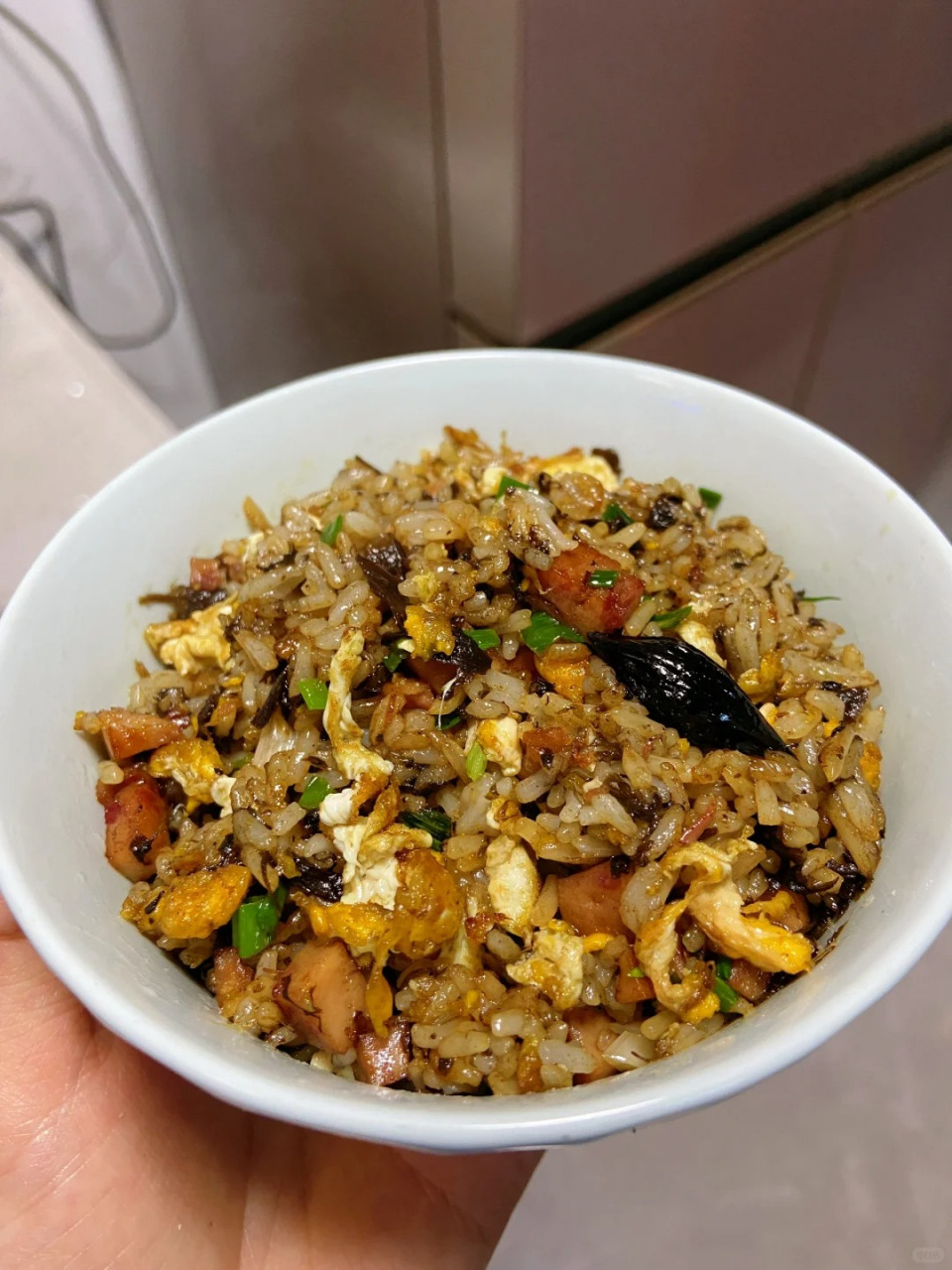 [期待]打开味蕾的新天地,我惊喜地发现橄榄菜炒饭竟如此美味!