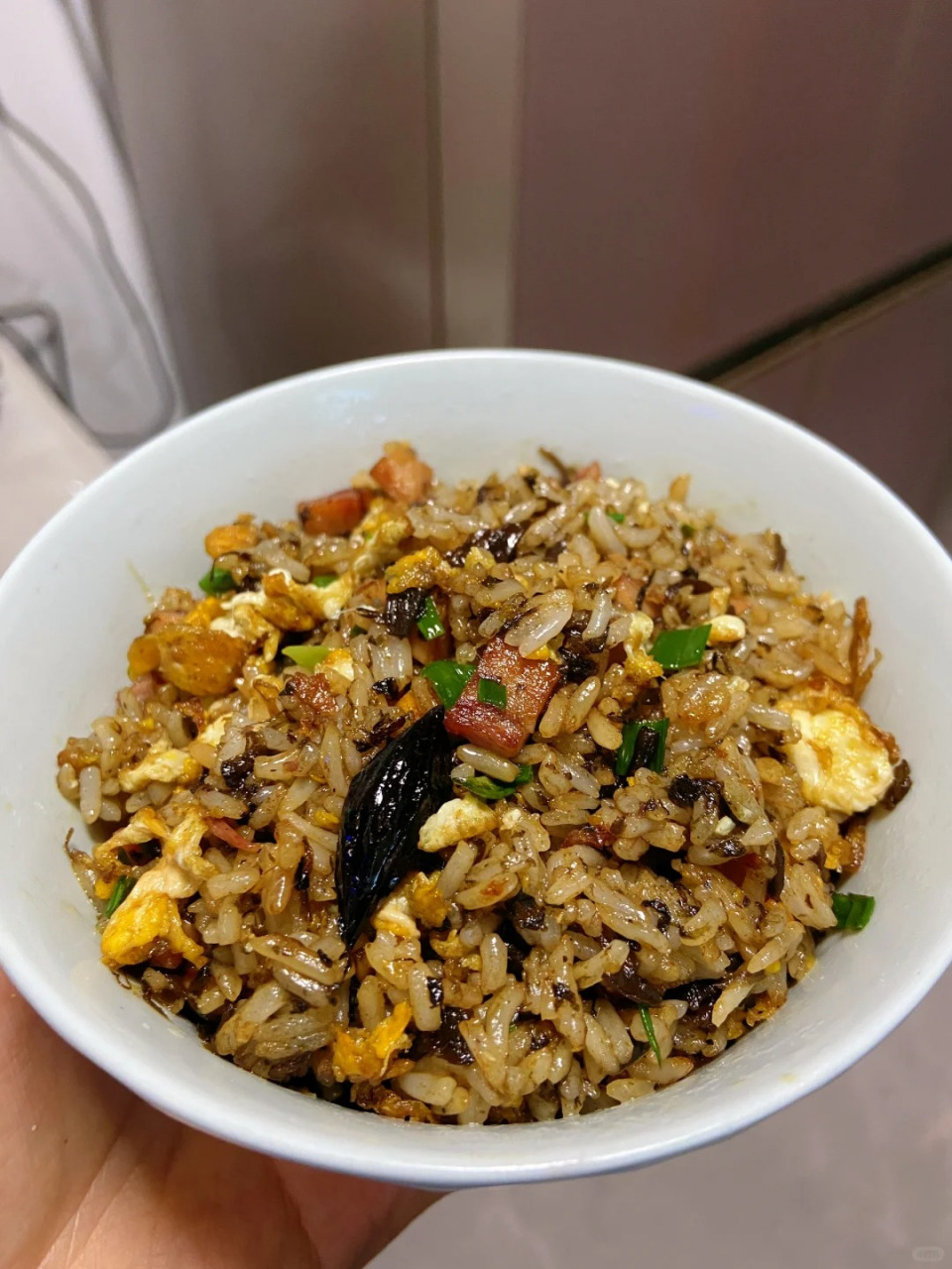 [期待]打开味蕾的新天地,我惊喜地发现橄榄菜炒饭竟如此美味!