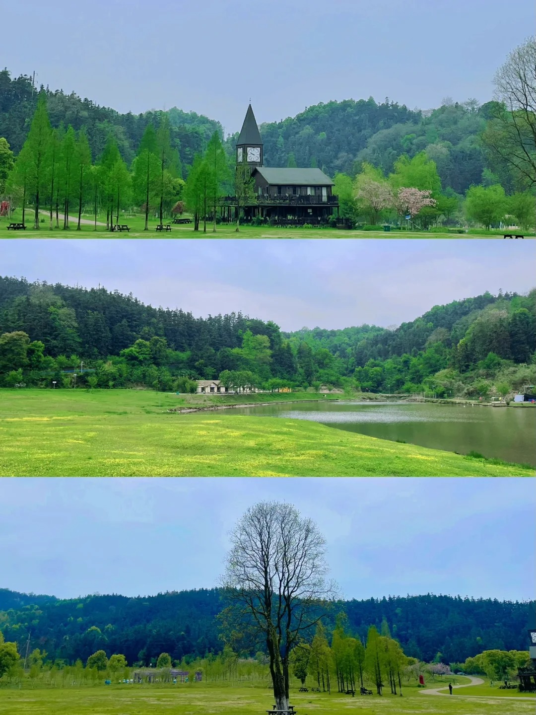 去南昌追春日繁花# 南昌的先锋小镇,一眼望过去全是绿色,看着很舒服