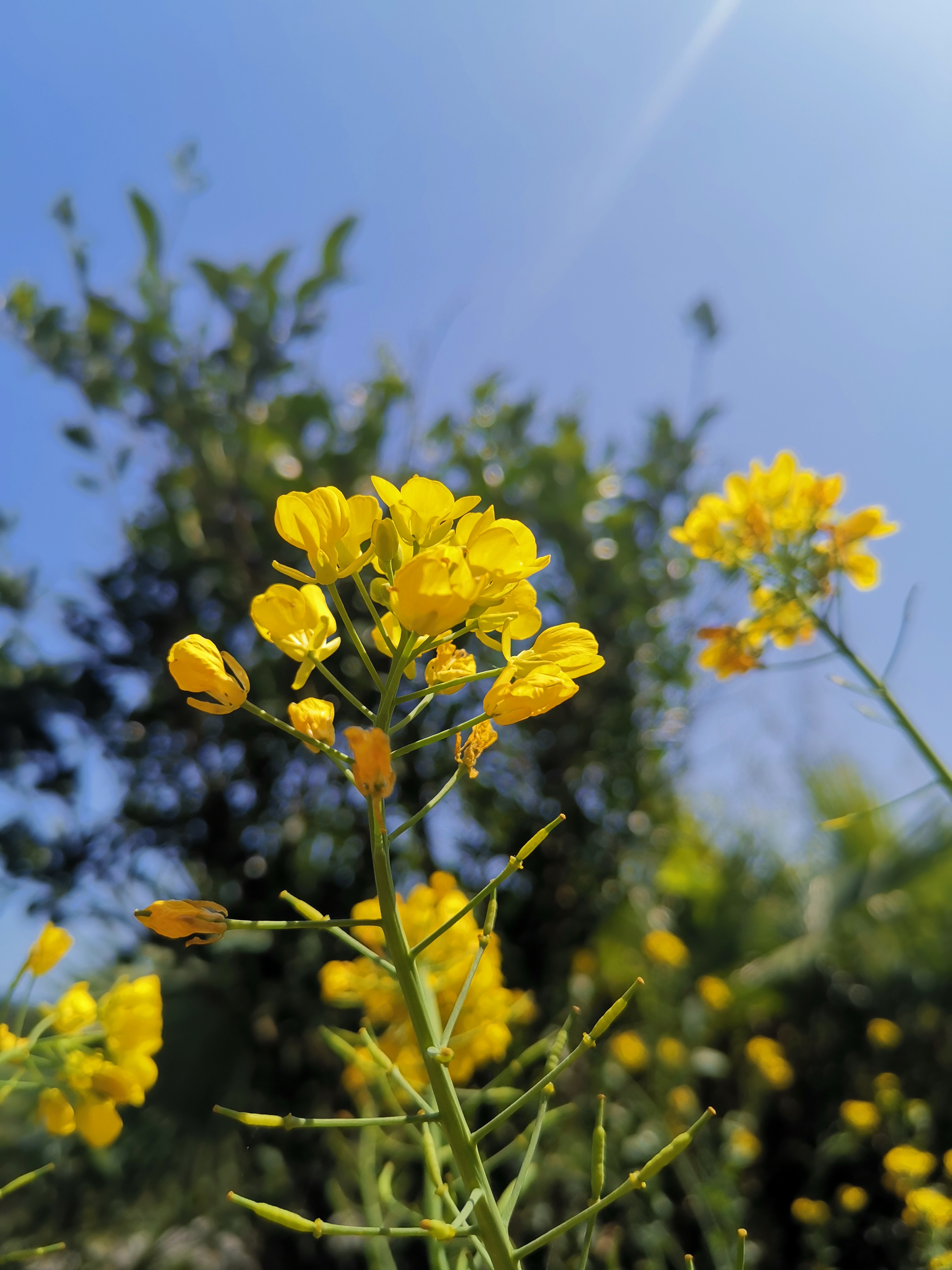这3种人,正在偷偷闷声发大财
