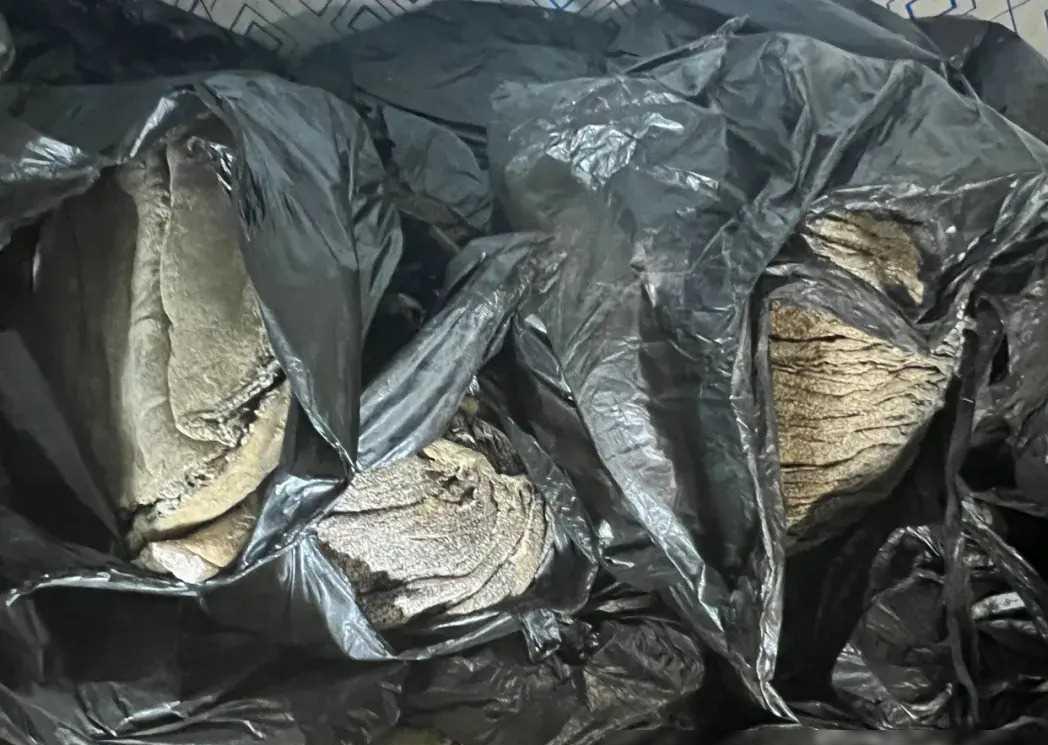 绥芬河海关大破获!跨境客车暗藏猪蹄牛肚,走私案震惊曝光!