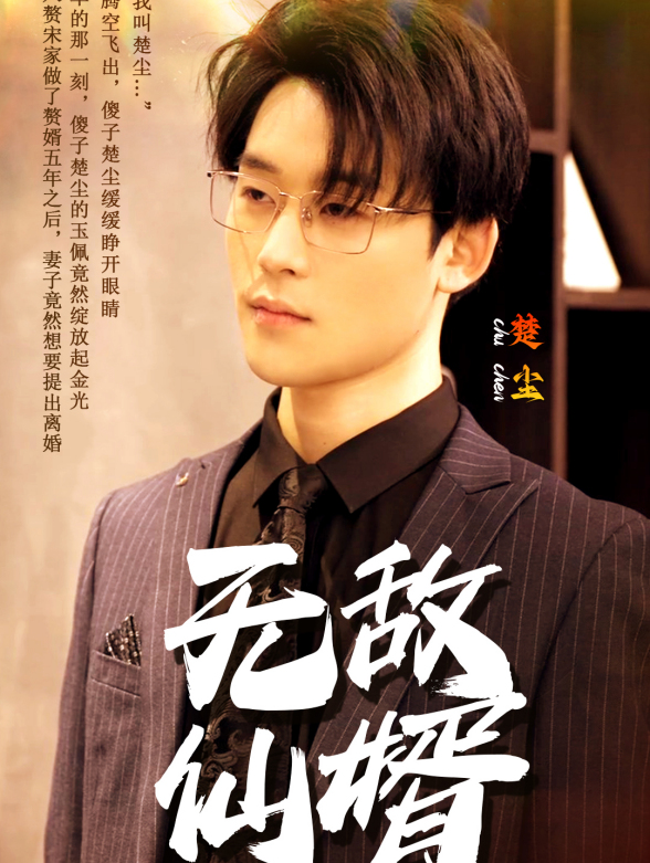 无敌仙婿