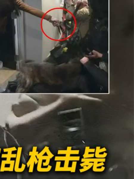 湖北女博士被美国警察乱枪打死现场惨烈3