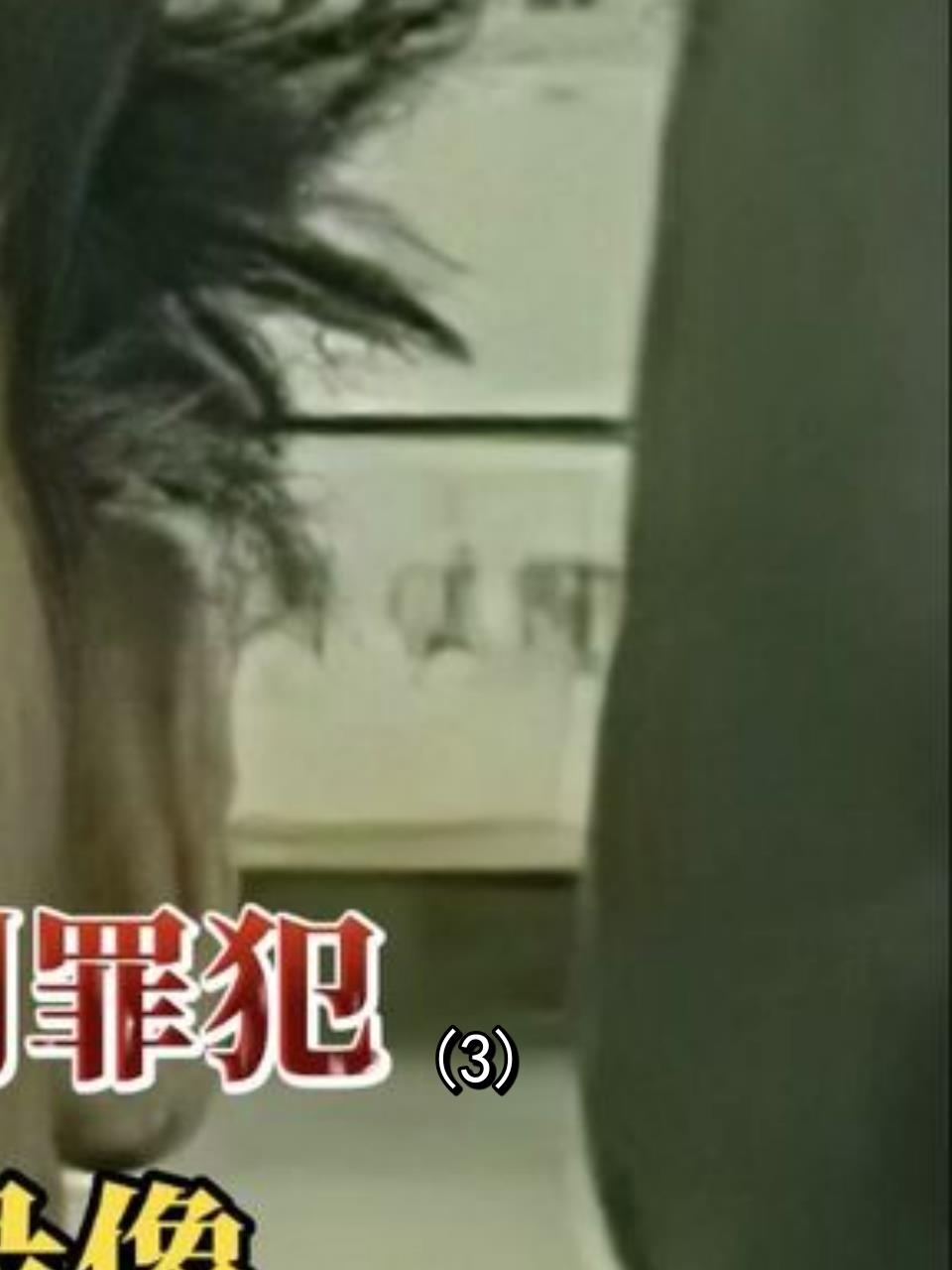 1999年沈阳三八特大杀人案罪犯被枪决正义终将伸张3