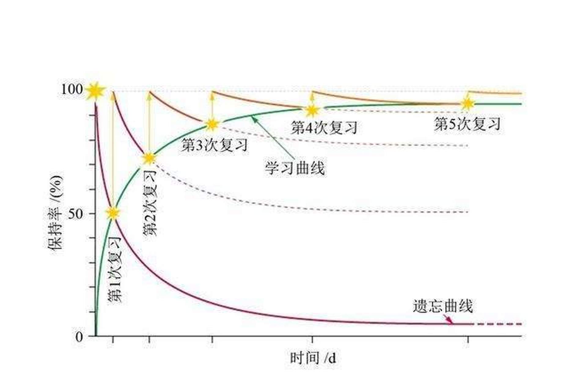 艾宾浩斯遗忘曲线骗局图片