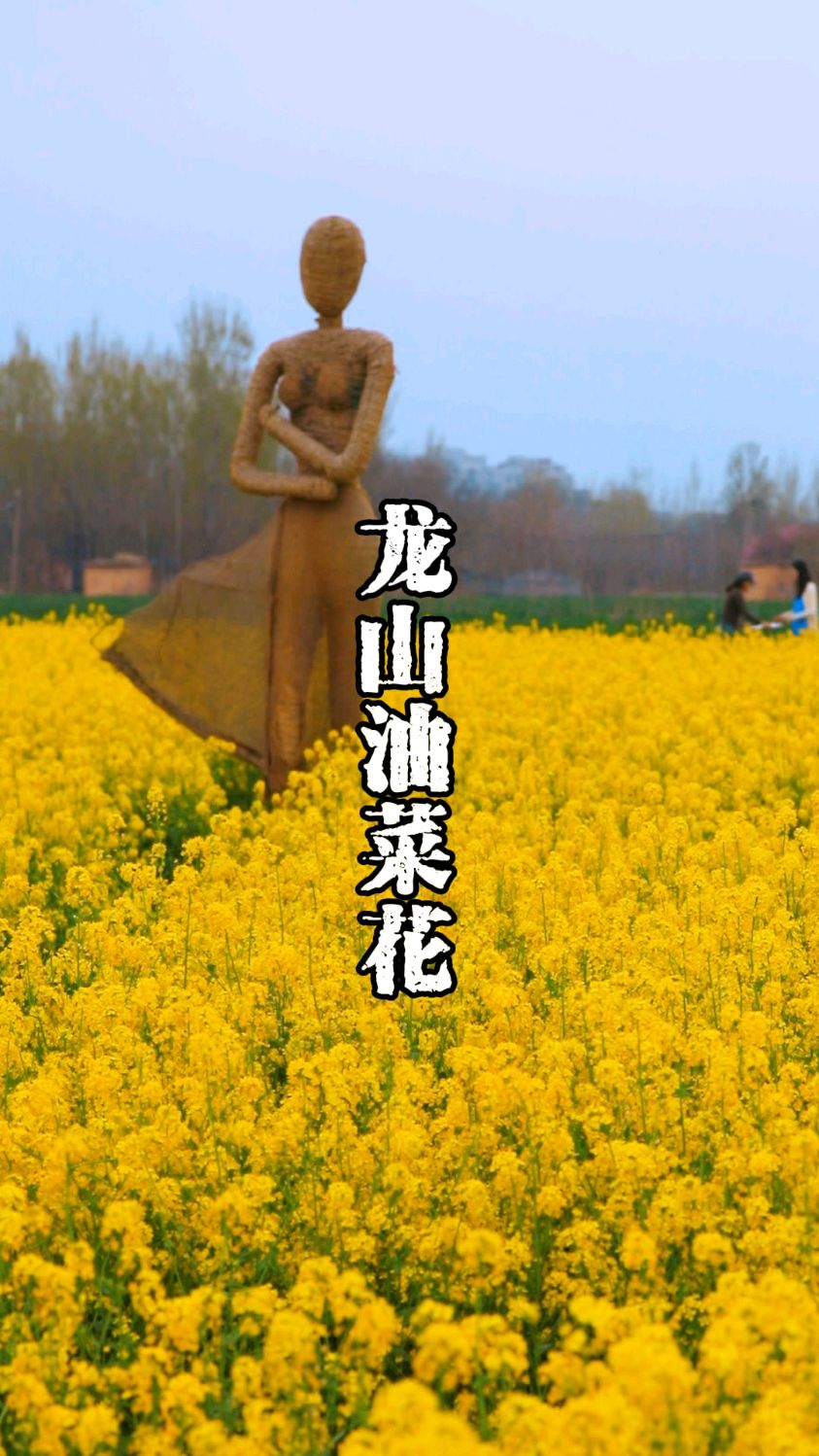 导航济南章丘龙山街道平陵古城即可到达目的地