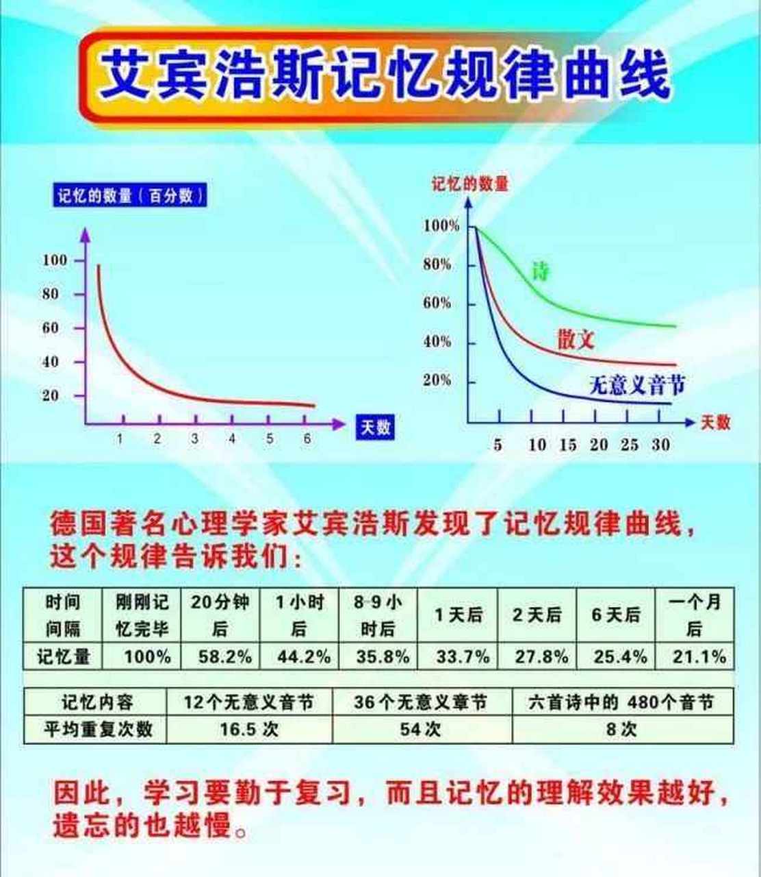 描述了人类大脑对新事物遗忘的规律