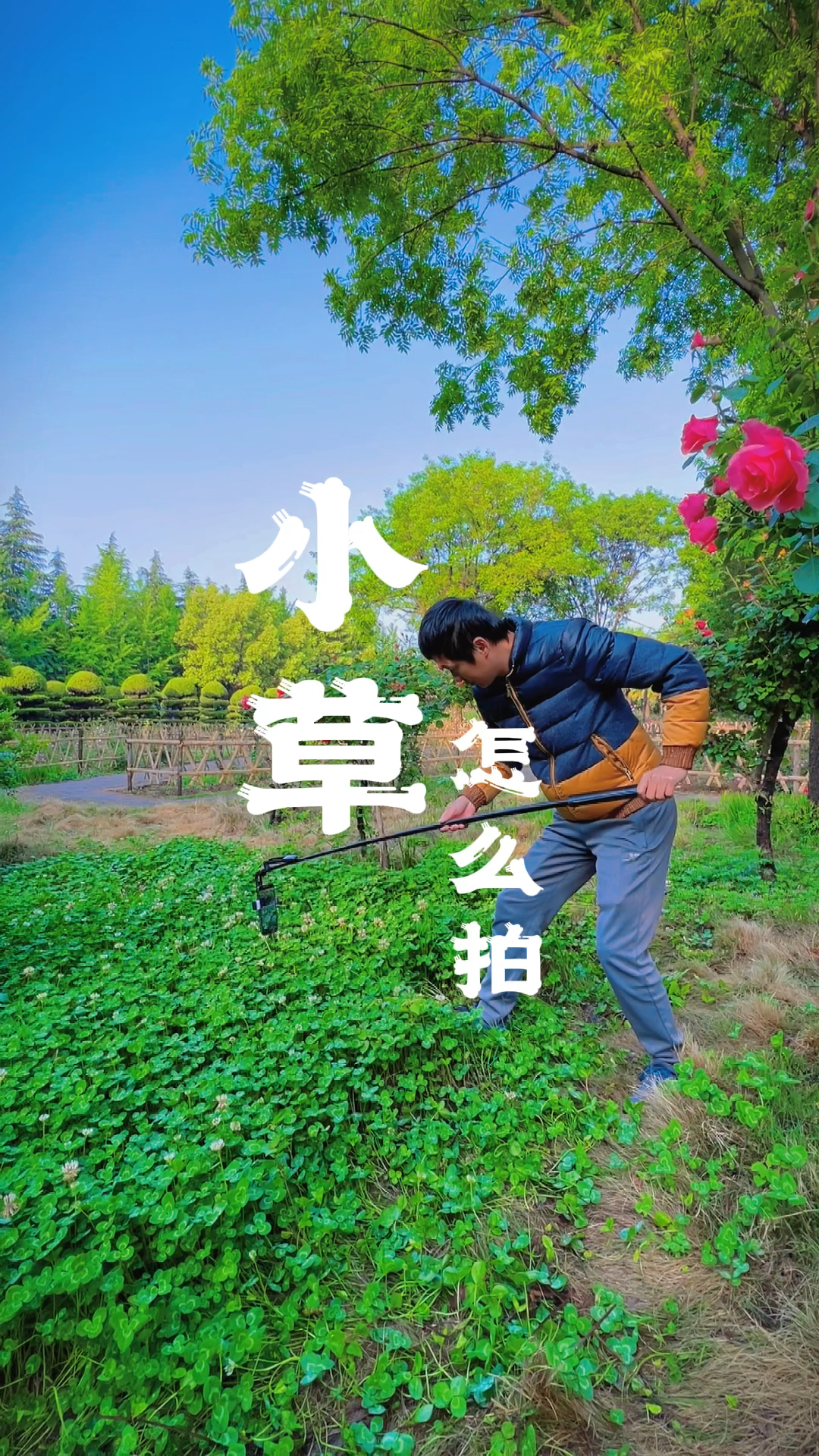 家门口的小花小草试试这样拍,太漂亮了