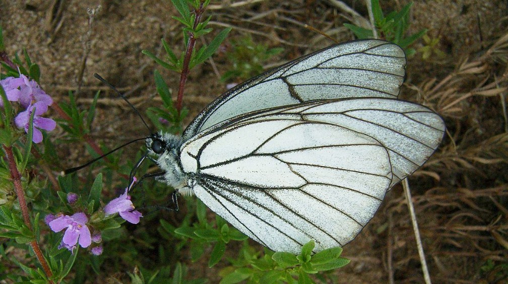其实人只有听到一些真实的,不同的声音,才容易生