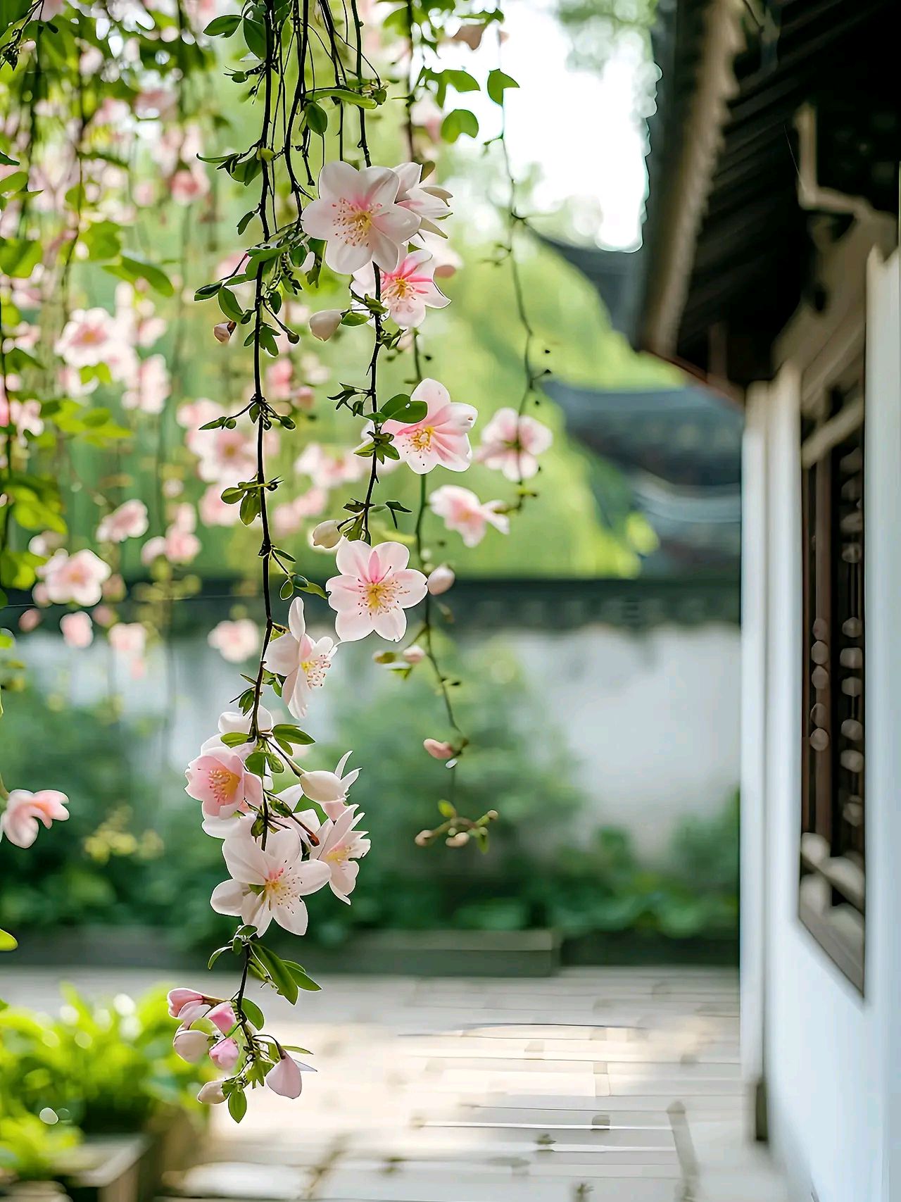 春风十里,花开锦绣,愿你静享岁月静好,内心安然无恙