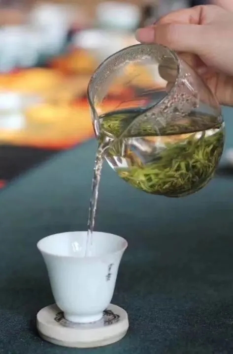 普陀山佛茶丨千年云雾,方成"佛茶"