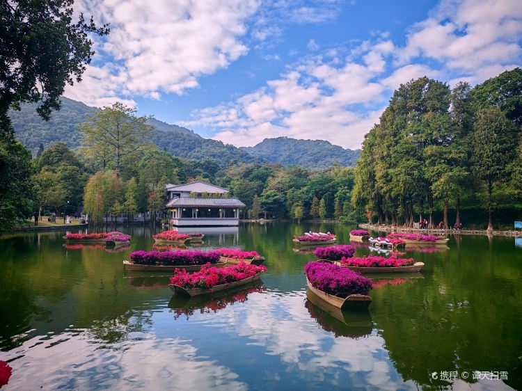 广州市白云区旅游景点图片