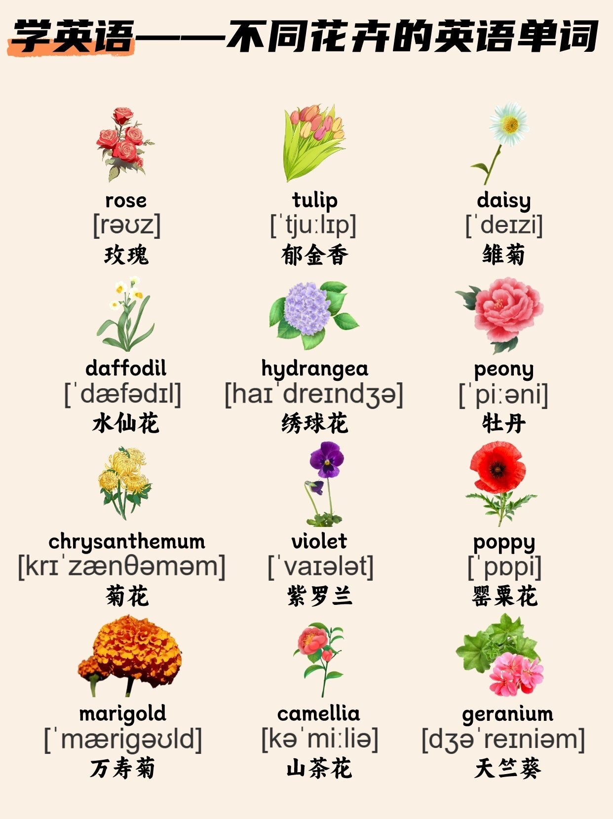 英语里不同的花卉怎么说?