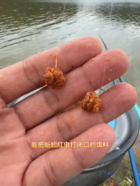 能把蚯蚓红虫都打闭口这款黑猫白猫饵料实测效果大震惊