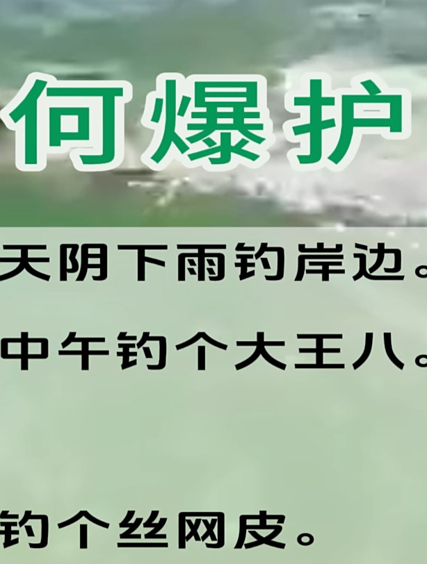 钓鱼如何爆护只需这5句口诀