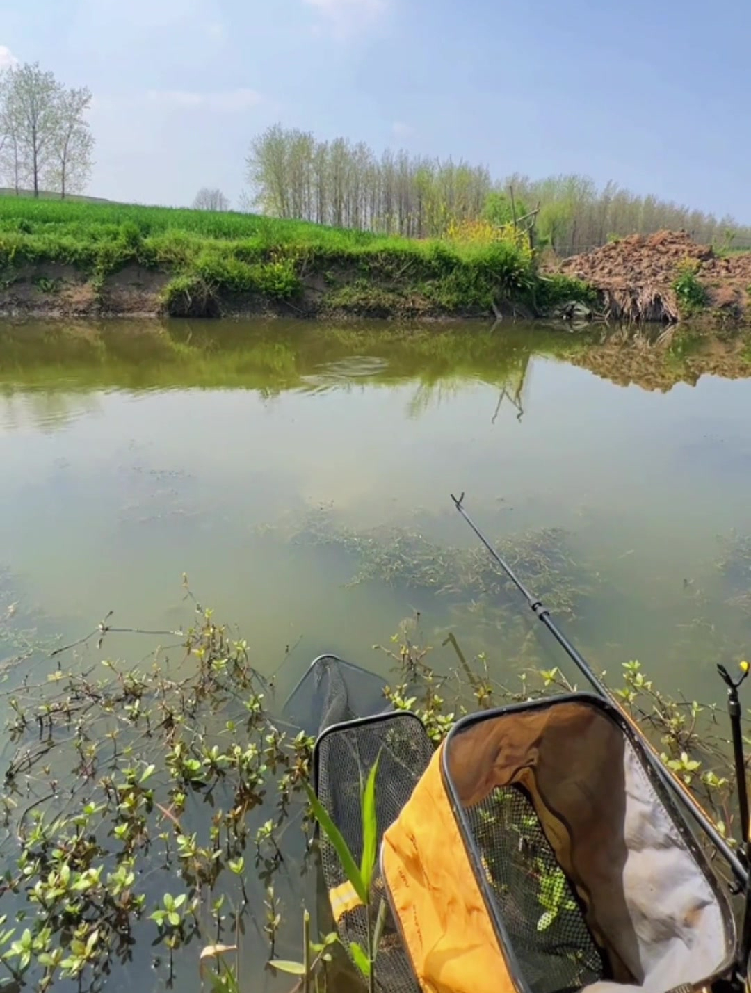 宿鸭湖小垄沟鲫鱼连杆小河沟有惊喜