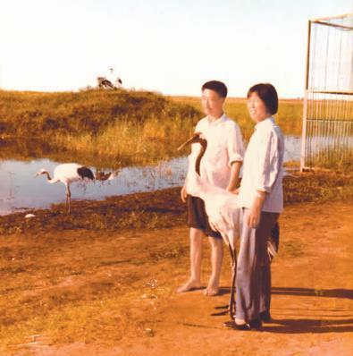 回顾丹顶鹤女孩牺牲27年后弟弟也在保护区殉职如今侄女继承遗志
