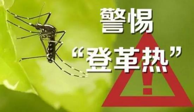 九成人不懂蚊子最大的天敌是啥1个笨法子整夜开窗也不怕