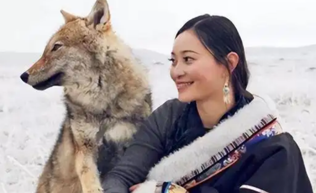 2010年成都女孩把狼当儿子养了10个月11年后结局催人泪下