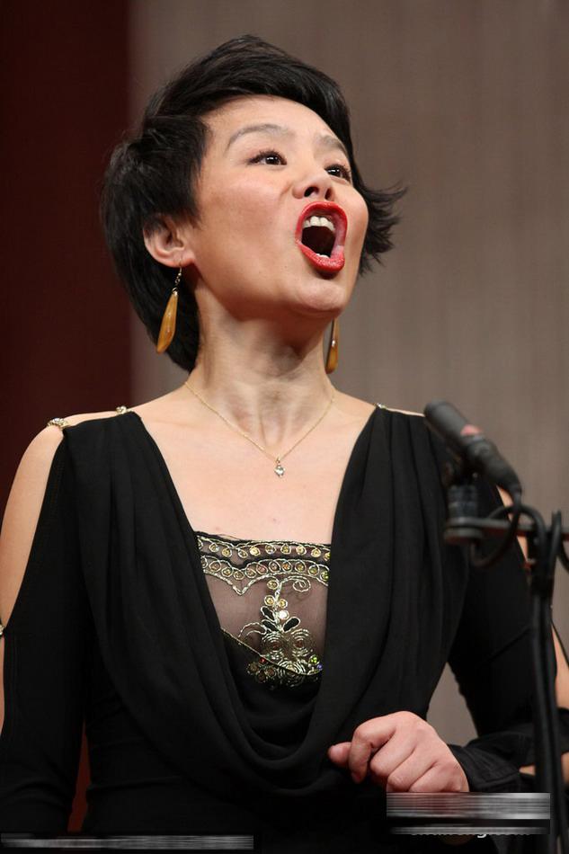 言语犀利的龚琳娜给众人上了一课难怪王菲不再替人发声