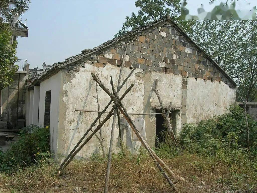 回顾:老太每月退休金一万多,每天却只花10块,多年后她