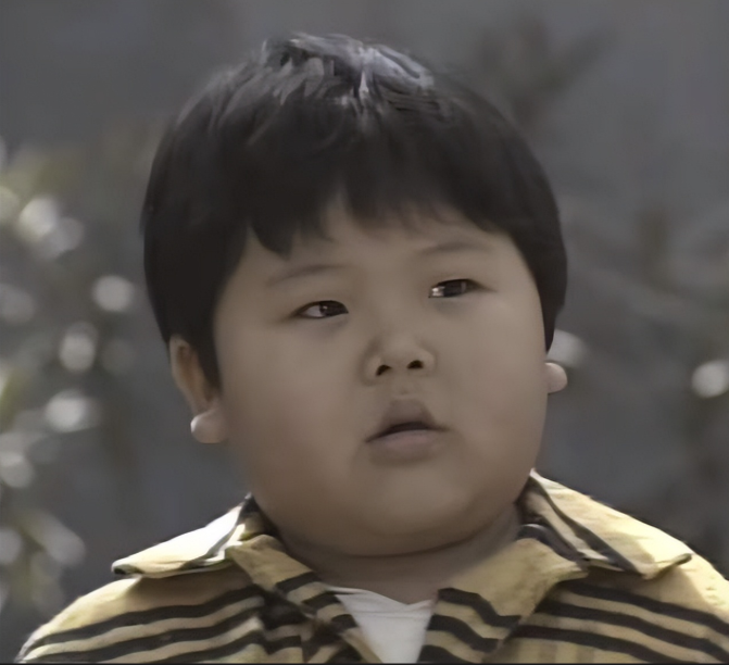 回顾小龙人宝宝已婚陈嘉男变化太大4位演员已世