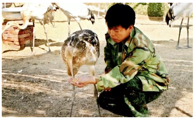 回顾丹顶鹤女孩牺牲27年后弟弟也在保护区殉职如今侄女继承遗志