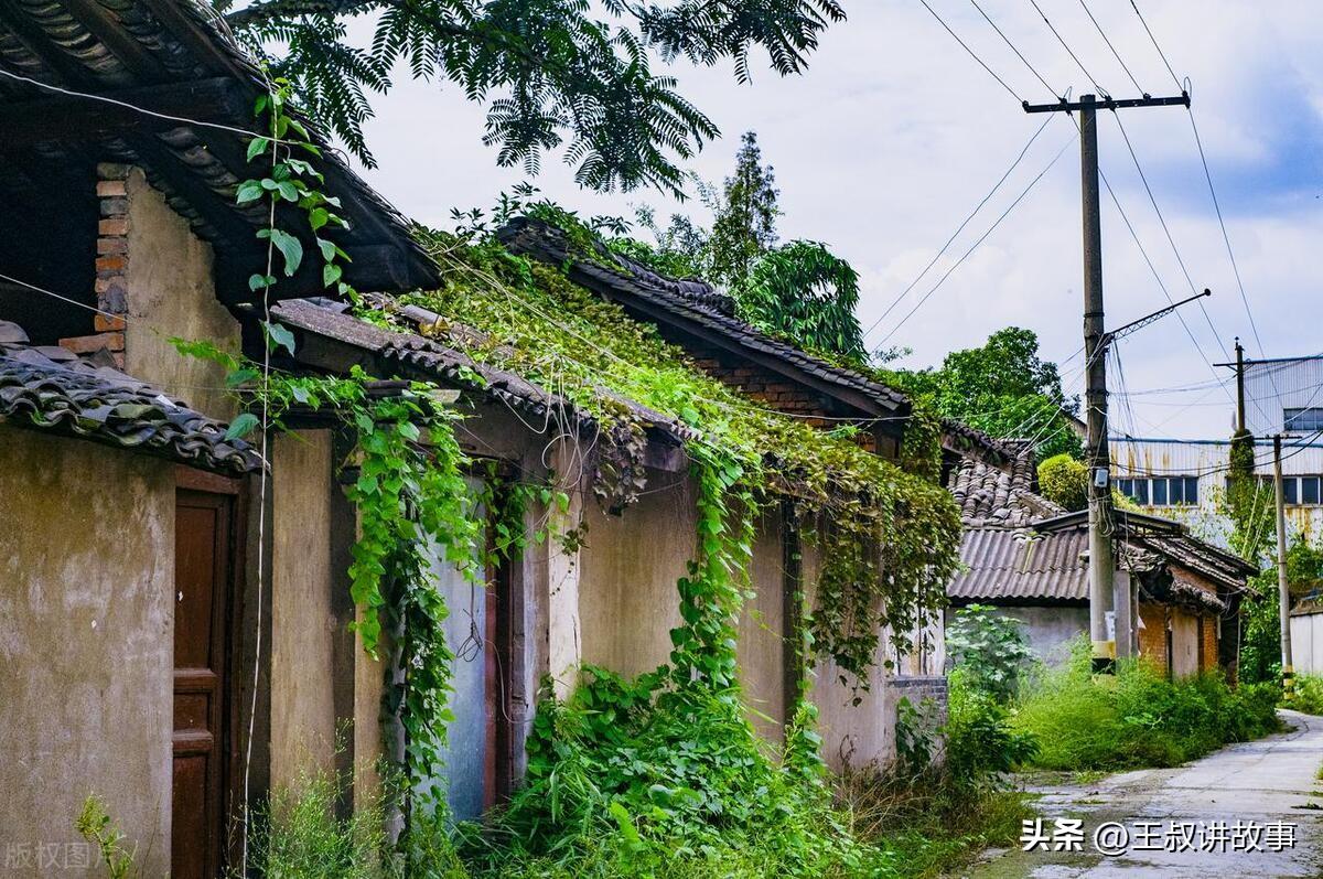 2013年我把旧房子半价租给一对母子6年10年后租客找上了门