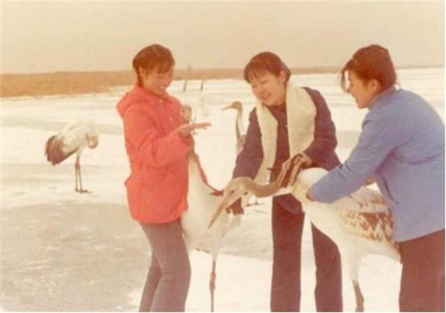 回顾丹顶鹤女孩牺牲27年后弟弟也在保护区殉职如今侄女继承遗志