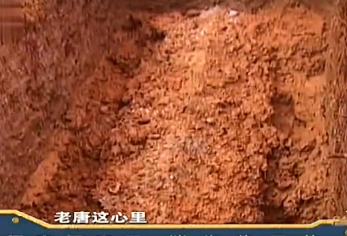 2011年湖南老妇刚下葬其儿子连续七天梦见挖坟开棺后瘫倒在地