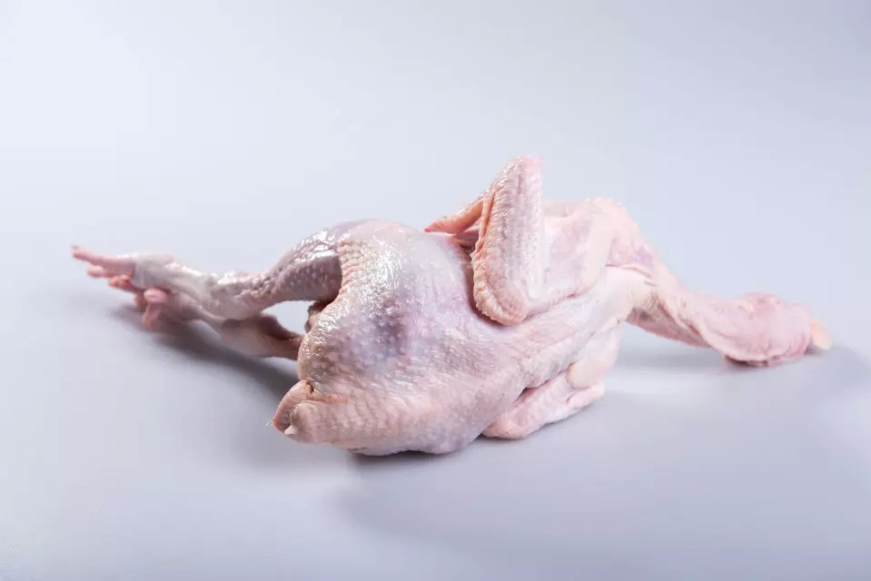 三黄鸡和白条鸡的区别?究竟有何不同?哪种更适合你?