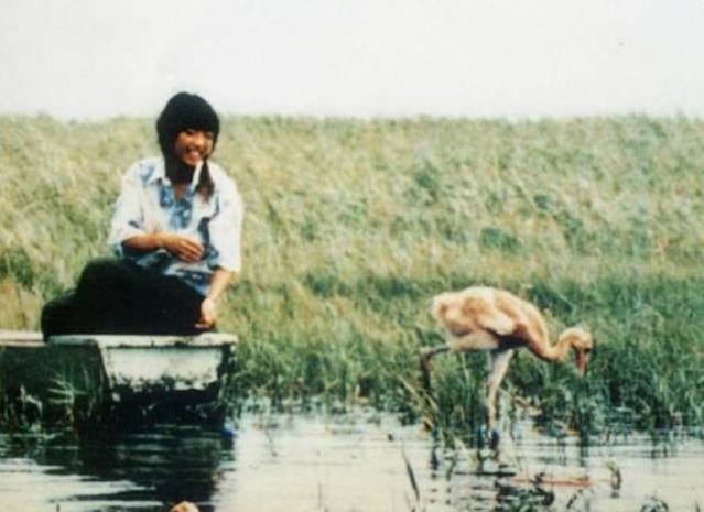 回顾丹顶鹤女孩牺牲27年后弟弟也在保护区殉职如今侄女继承遗志