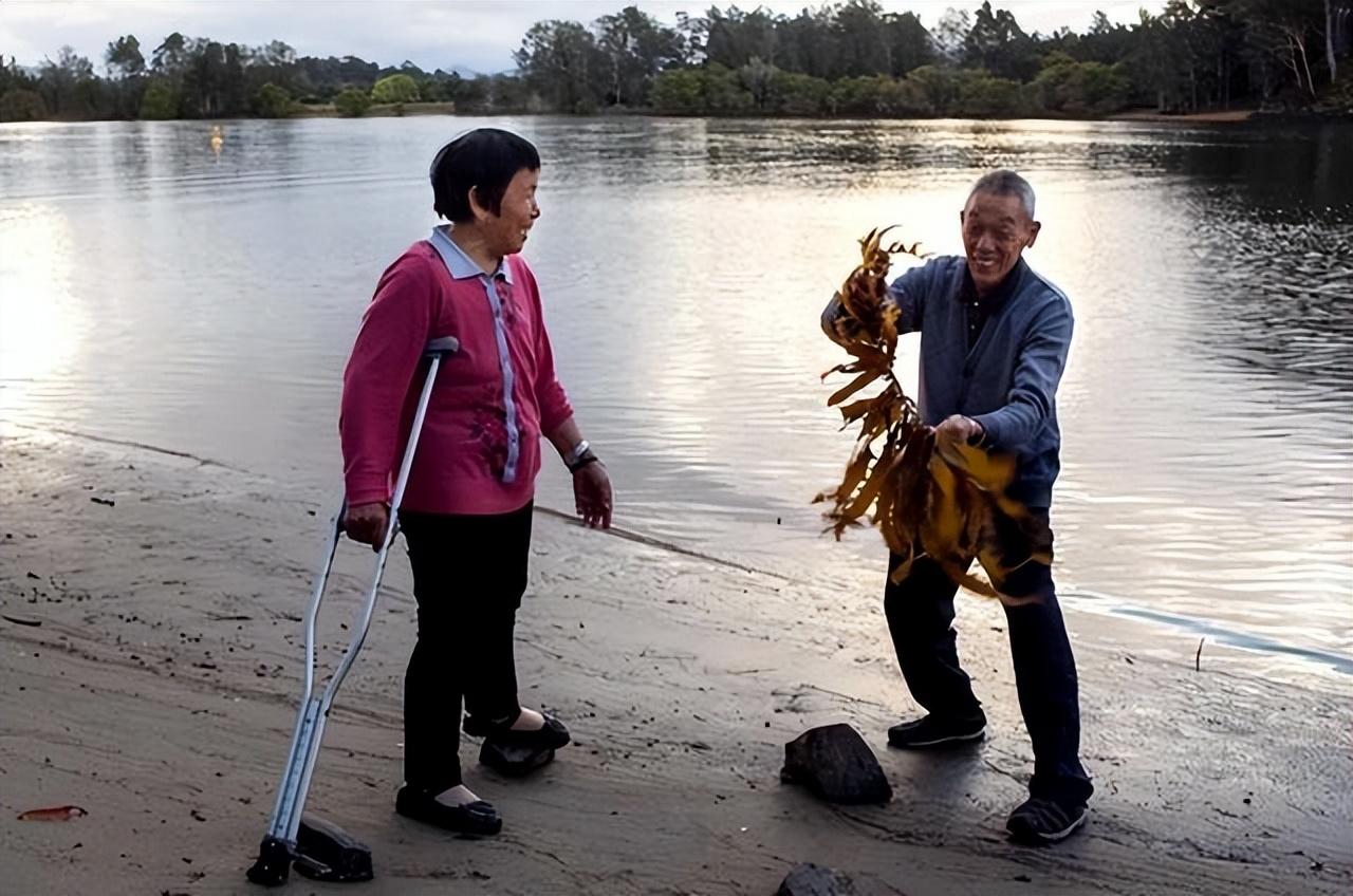 2015年北大学霸将癌晚期父亲骗出国88天后回国结局催人泪下
