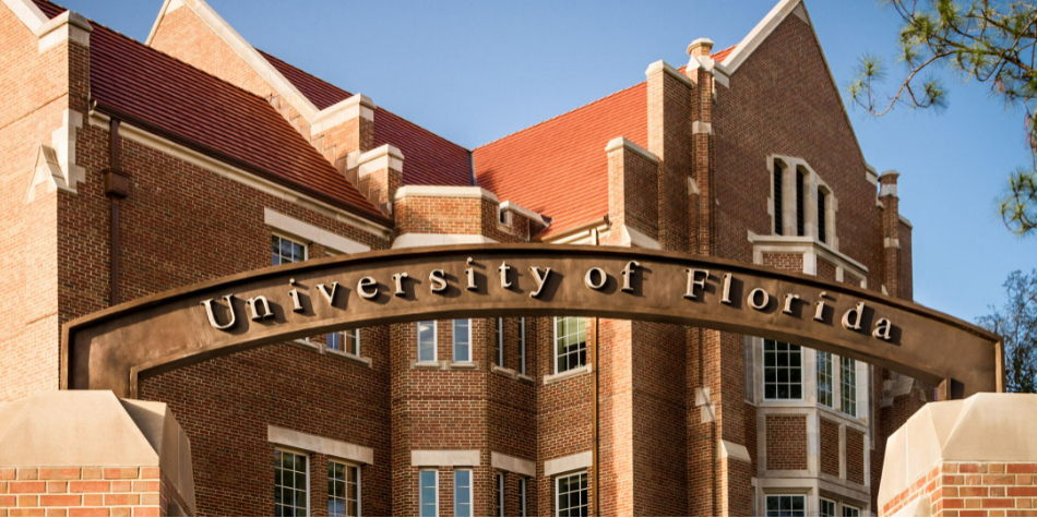 泰勒斯威夫特登上福布斯亿万富豪榜多所大学开设霉霉相关课程