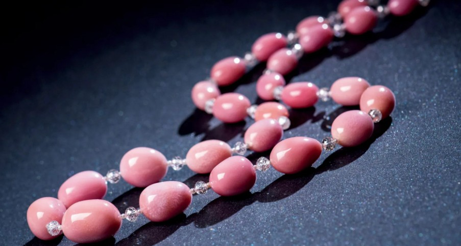 广州查获巨型女王凤凰螺内藏珍珠曾卖2400万至今无法人工养殖