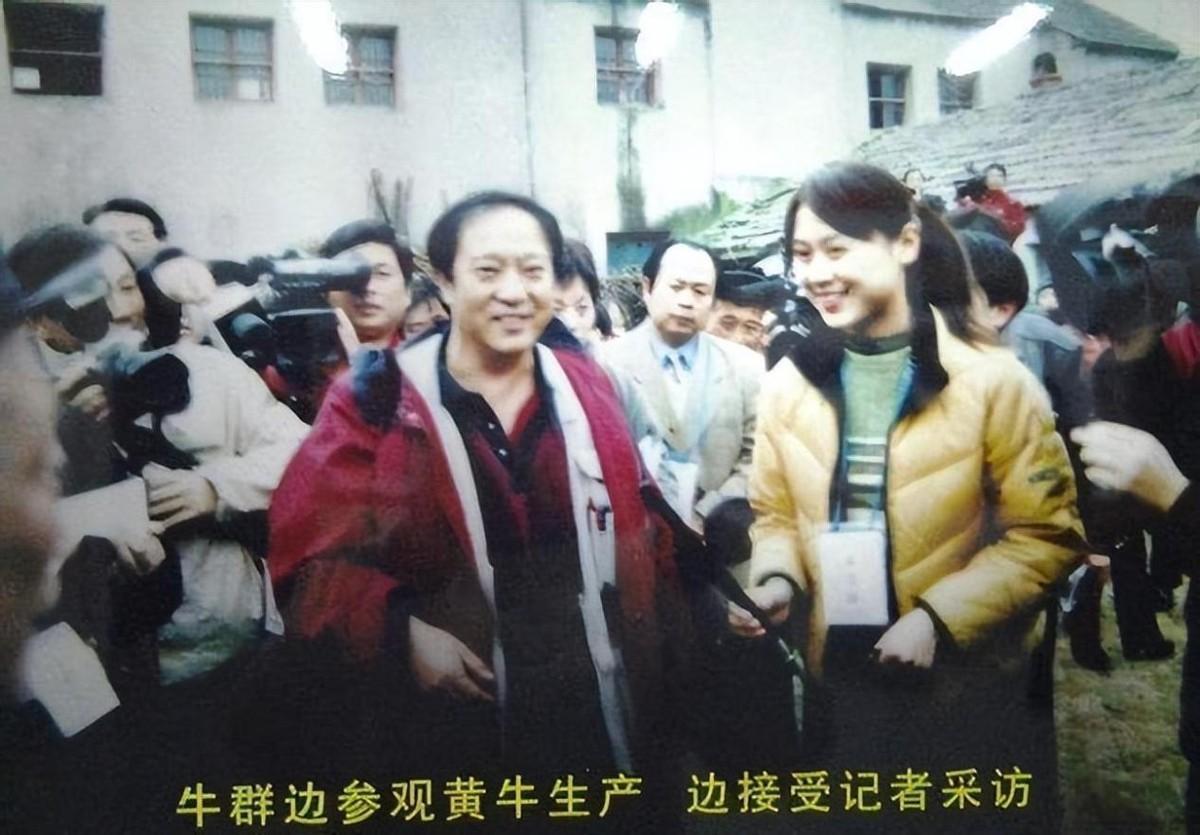 事实证明消失23年的牛群已经走上了人生的另一条大道