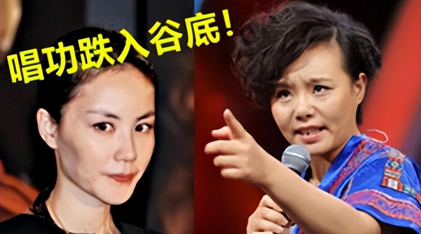 2010年,一身花绿"火鸡服",唱《忐忑》,也是让彼时名不经传的龚琳娜