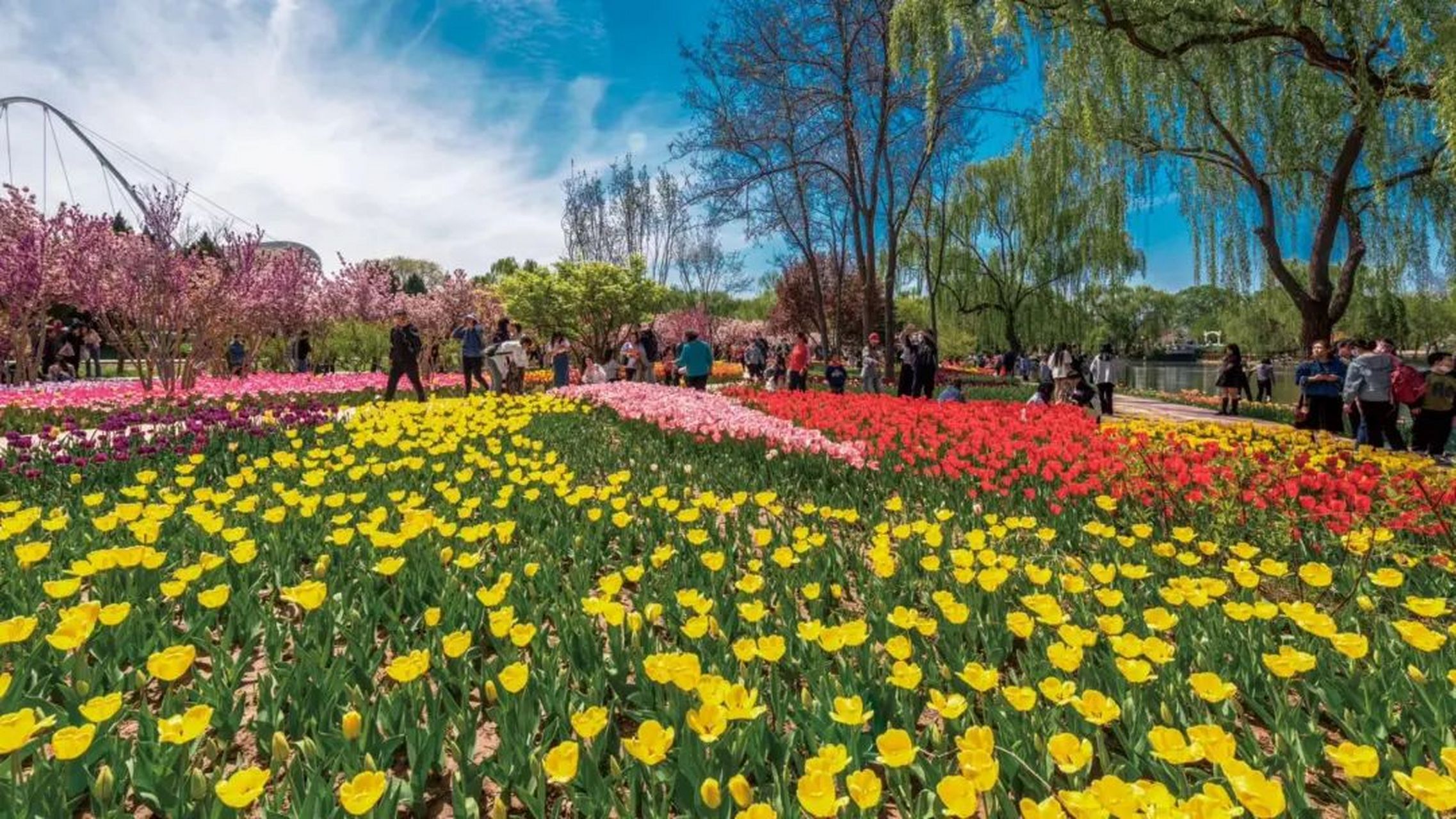 石家庄植物园图片大全图片