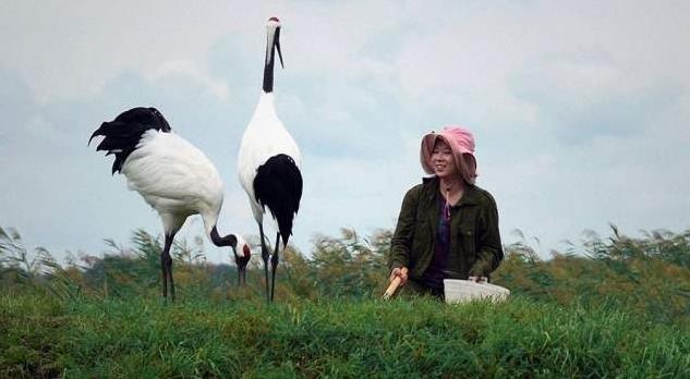 回顾丹顶鹤女孩牺牲27年后弟弟也在保护区殉职如今侄女继承遗志