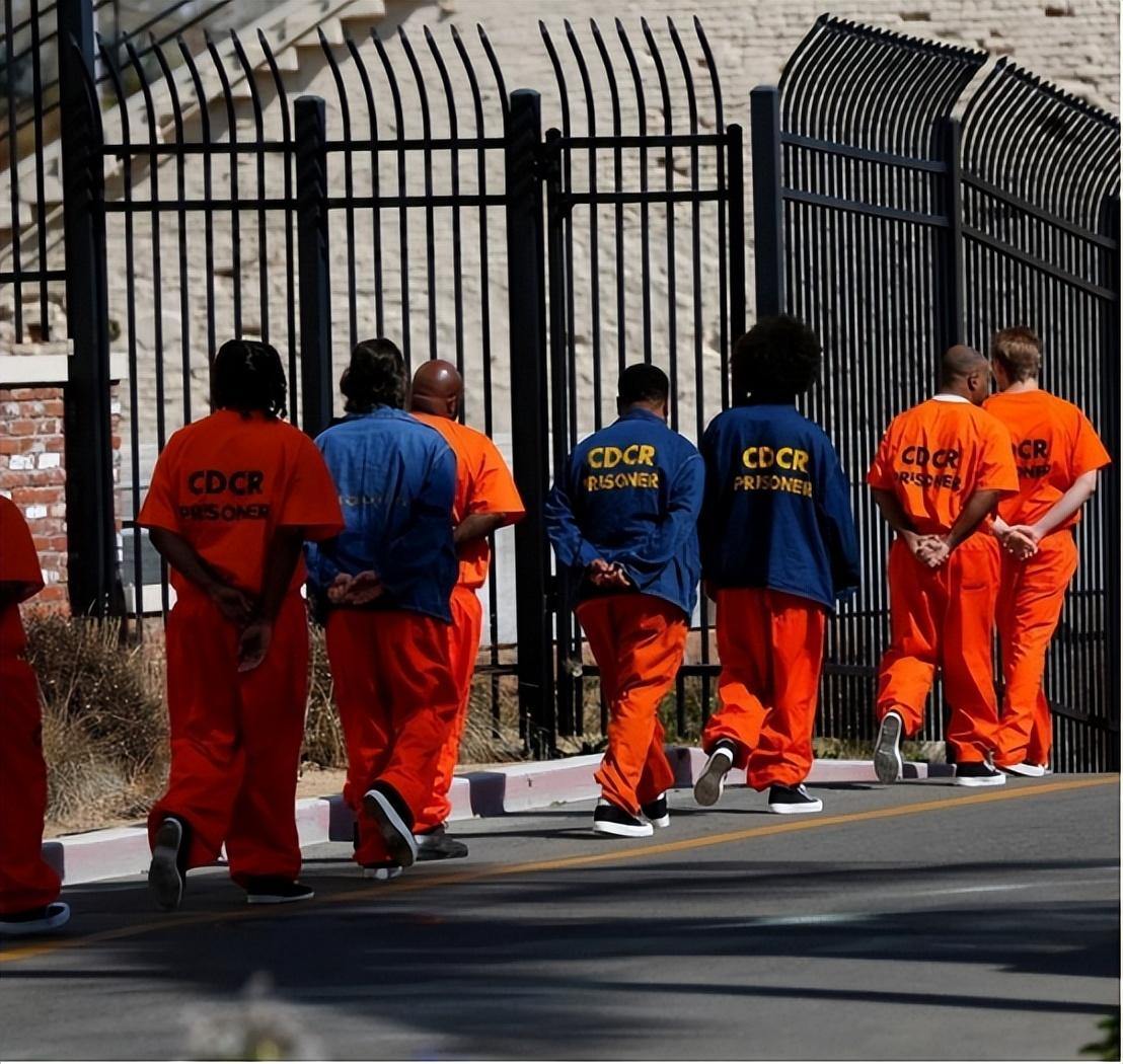 回顾女子监狱没有男性为何每年都有很多人怀孕是何缘由