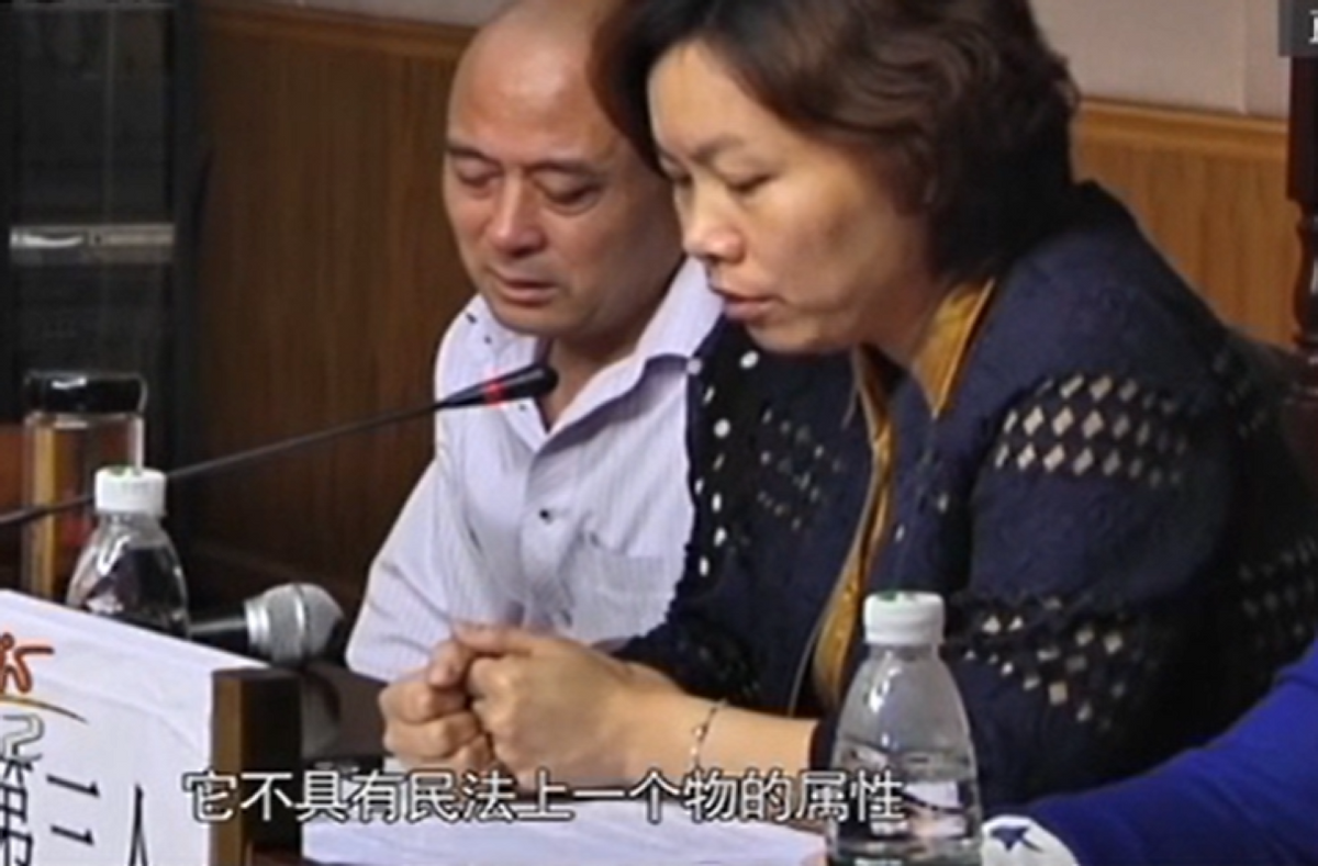 2013年小夫妻车祸身亡四老争冷冻胚胎留香火对簿公堂结局如何