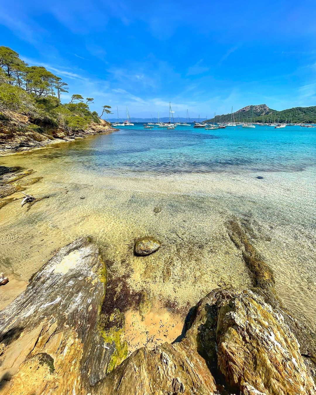 如果您想逃离里维埃拉的喧嚣,波克罗勒岛绝对是一个令人惊艳的绿洲!