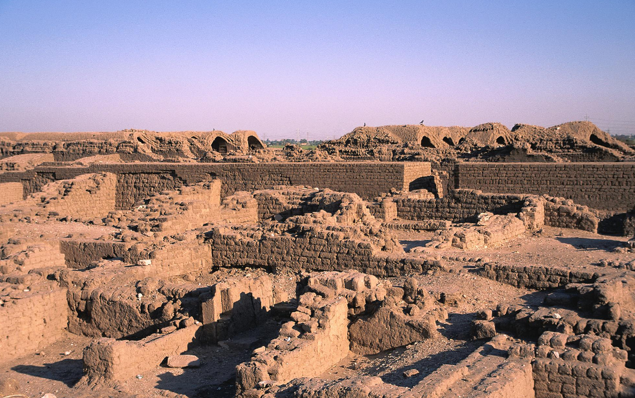是啊,你没听错,那个在地球上存在了1800万年的罗布泊,它再次焕发出