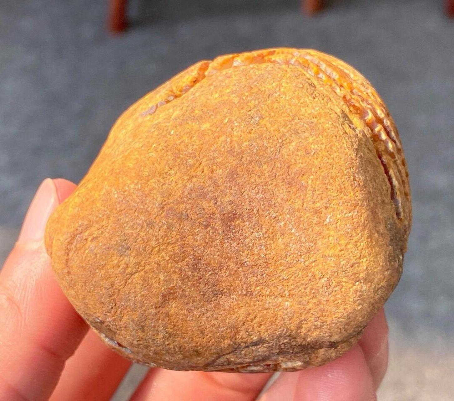 点击头像看直播# #翡翠原石#翡翠原石次生矿绝大多数都有风化壳,翡翠