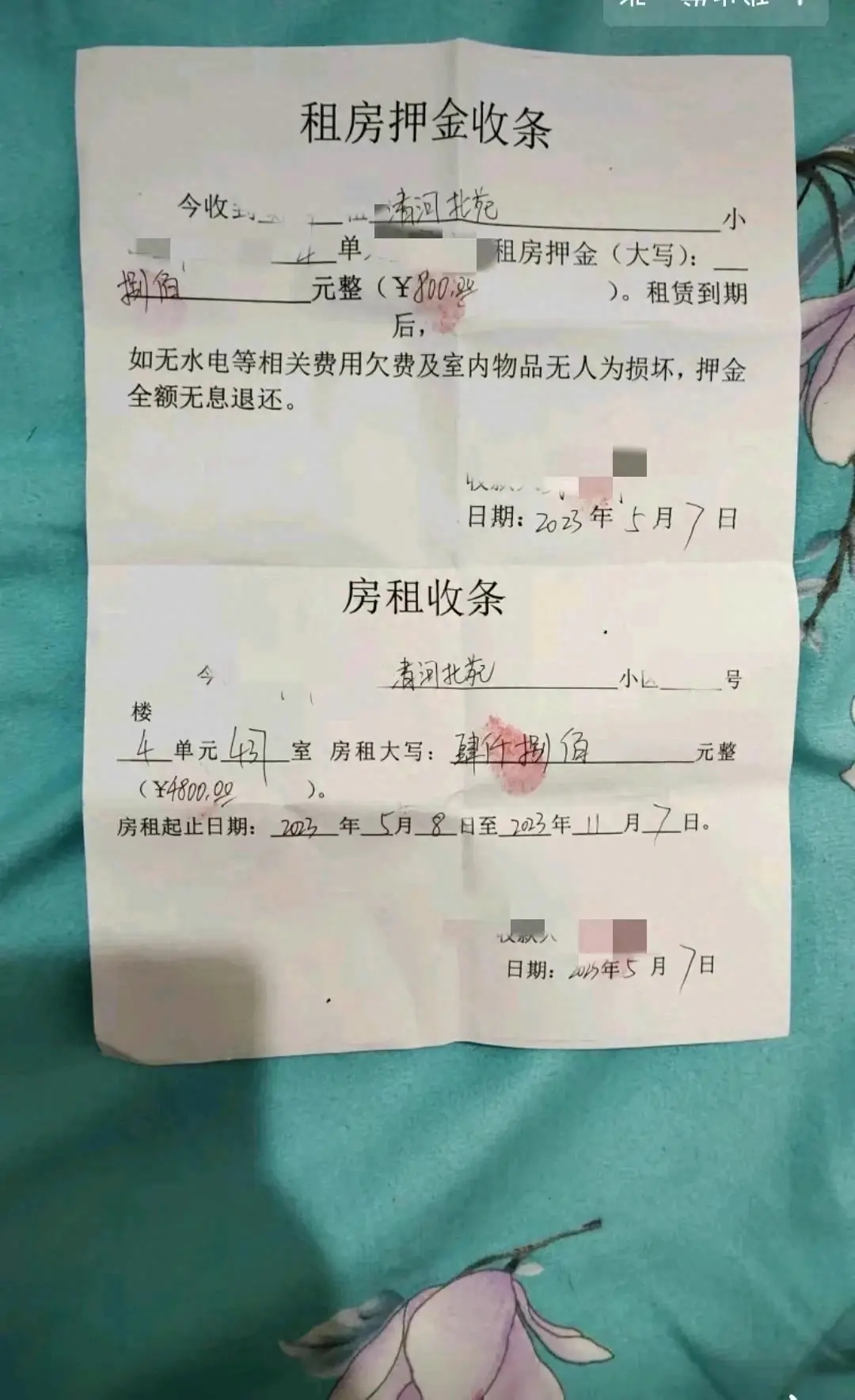 她签订了租期一年,提前退房需遵守条款的租房合同